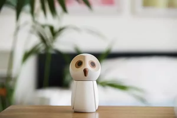 Spring Copenhagen Saltkværn Sneuglen - Billede 2